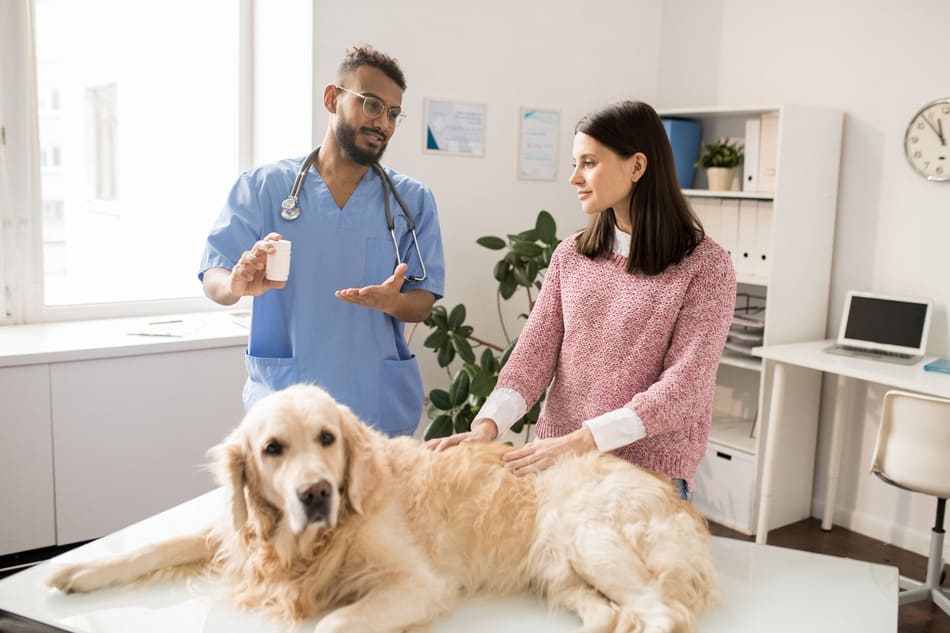 Veterinario explicando el tratamiento a la dueña del perro